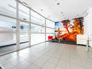 Pronájem obchodního prostoru, Roztoky, Lidická, 143 m2