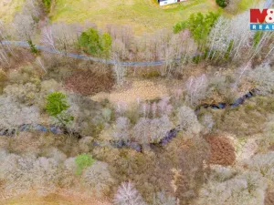 Prodej rybníku, Dvory nad Lužnicí, 8649 m2