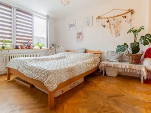 Prodej bytu 2+1, Písek - Budějovické Předměstí, Budějovická, 51 m2