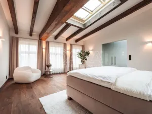 Pronájem bytu 5+kk, Praha - Nové Město, Truhlářská, 335 m2