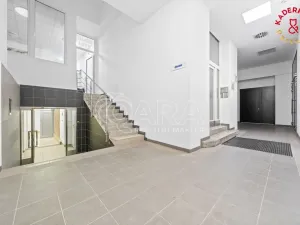 Prodej obchodního prostoru, Brno, Lidická, 153 m2