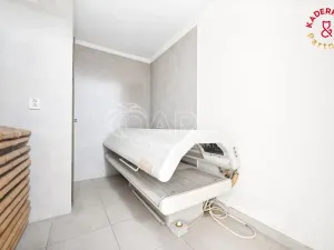 Prodej obchodního prostoru, Brno, Lidická, 172 m2