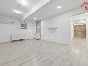 Prodej obchodního prostoru, Brno, Lidická, 172 m2