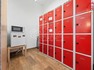 Prodej obchodního prostoru, Brno, Lidická, 326 m2