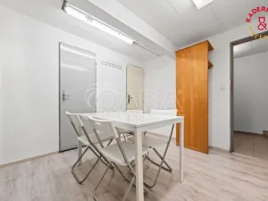 Prodej obchodního prostoru, Brno, Lidická, 326 m2