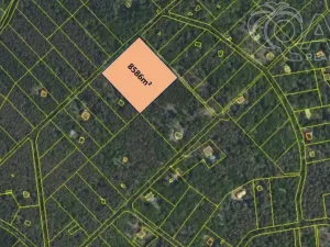 Prodej lesa, Štěchovice, 8586 m2