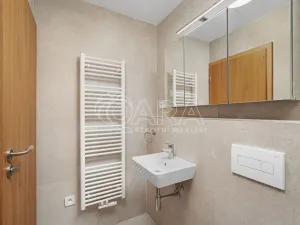 Pronájem bytu 1+kk, Brno - Komárov, Dornych, 20 m2