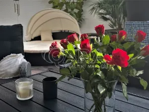 Prodej rodinného domu, Brno, Chaloupky, 240 m2