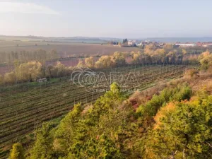 Prodej ubytování, Kolešov, 21 m2