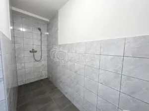 Prodej rodinného domu, Ostrava - Zábřeh, Karpatská, 200 m2