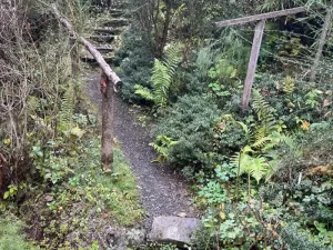 Prodej chalupy, Bouzov - Bezděkov, 101 m2