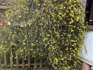 Prodej chalupy, Bouzov - Bezděkov, 101 m2