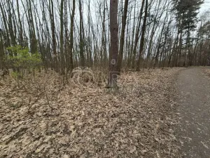 Pronájem komerčního pozemku, Praha - Háje, 2000 m2