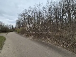 Pronájem komerčního pozemku, Praha - Háje, 2000 m2