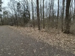 Pronájem komerčního pozemku, Praha - Háje, 2000 m2