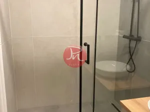 Pronájem bytu 2+kk, Ostrava, Opavská, 50 m2