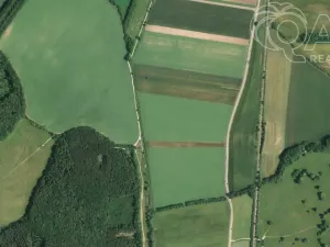 Prodej pole, Javorník, 3152 m2