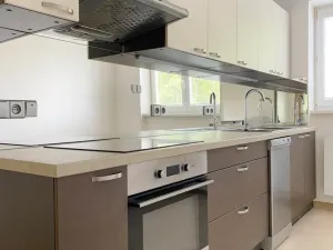 Pronájem bytu 2+1, Opava - Předměstí, náměstí Slezského odboje, 60 m2