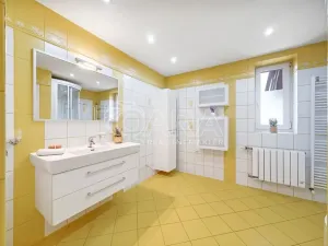 Prodej rodinného domu, Horní Moštěnice, Havlíčkova, 350 m2