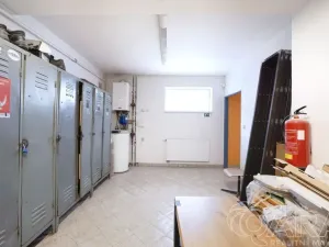 Prodej výrobních prostor, Slaný, Pražská, 665 m2