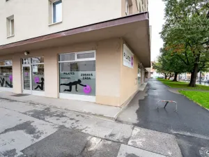 Pronájem bytu 2+1, Praha - Nusle, Nuselská, 45 m2