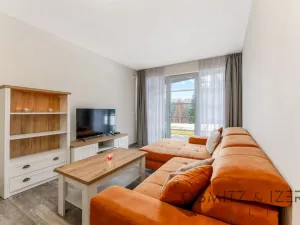 Prodej bytu 2+kk, Říčky v Orlických horách, 59 m2