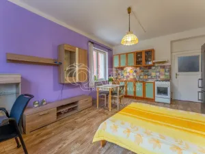 Prodej bytu 2+kk, Praha - Žižkov, Biskupcova, 47 m2