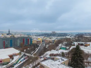 Prodej bytu 2+kk, Praha - Žižkov, Biskupcova, 47 m2