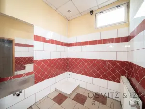 Prodej obchodního prostoru, Praha - Krč, Višňová, 199 m2