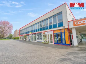 Pronájem obchodního prostoru, Plzeň - Severní Předměstí, alej Svobody, 641 m2