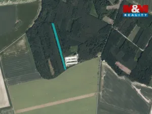 Prodej lesa, Městec Králové, 8906 m2