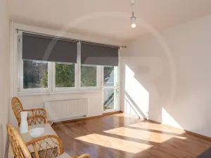 Pronájem bytu 3+1, Praha - Sedlec, V Sedlci, 97 m2