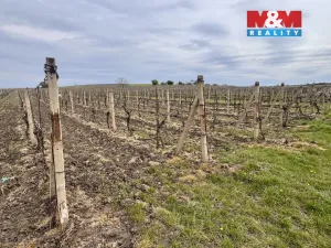 Prodej pole, Velké Bílovice, 3600 m2