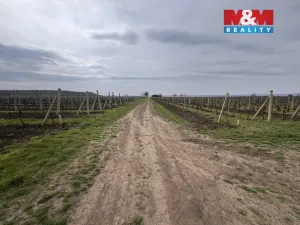 Prodej pole, Velké Bílovice, 3600 m2