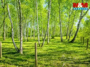 Prodej pozemku pro bydlení, Hradištko, 3825 m2