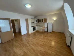 Pronájem bytu 2+kk, Olomouc, Wellnerova, 51 m2
