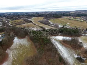 Prodej lesa, Velké Popovice, 19731 m2