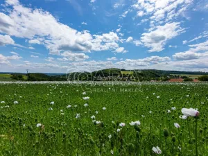 Prodej pozemku pro bydlení, Zvánovice, Lipová, 431 m2