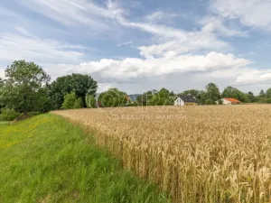 Prodej pozemku pro bydlení, Vražné, 4254 m2