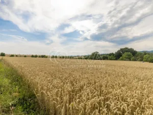 Prodej pozemku pro bydlení, Vražné, 4254 m2