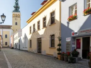 Pronájem obchodního prostoru, Nový Jičín, Masarykovo nám., 500 m2