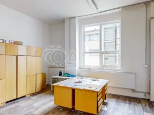 Prodej výrobních prostor, Luby, 1300 m2