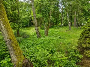 Prodej pozemku pro bydlení, Hrubá Skála, 5519 m2