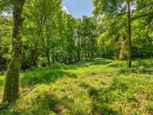 Prodej pozemku pro bydlení, Hrubá Skála, 5519 m2