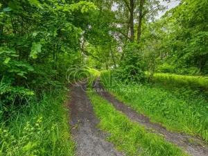 Prodej pozemku pro bydlení, Hrubá Skála, 5519 m2