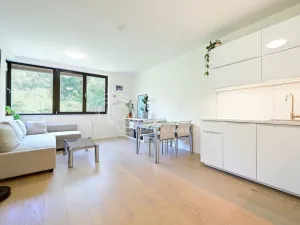 Pronájem bytu 2+kk, Praha - Podolí, Sinkulova, 47 m2