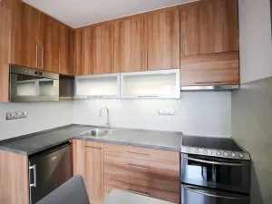 Pronájem bytu 1+kk, Praha - Holešovice, U průhonu, 31 m2