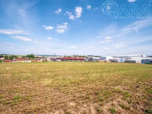 Prodej komerčního pozemku, Dolní Kralovice, 10347 m2