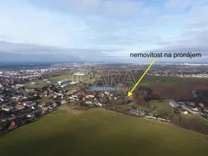 Pronájem obchodního prostoru, Vestec, Vestecká, 252 m2