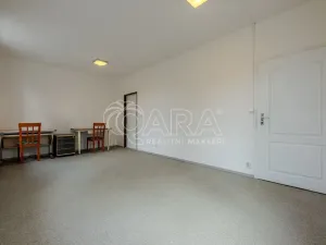 Pronájem obchodního prostoru, Vestec, Vestecká, 252 m2